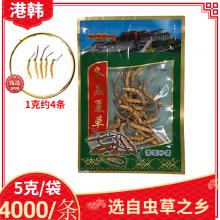 冬虫夏草5克/袋[一级4000条(约4条)]
