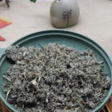 茵陈
