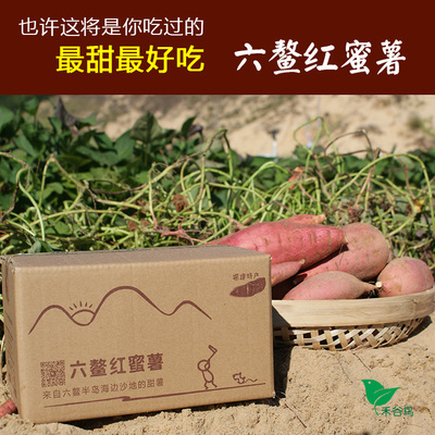 红蜜薯